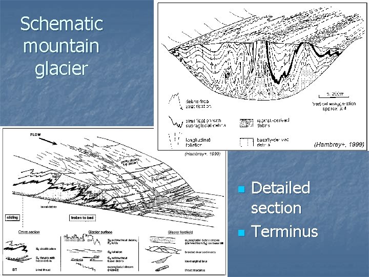 Schematic mountain glacier n n Detailed section Terminus 