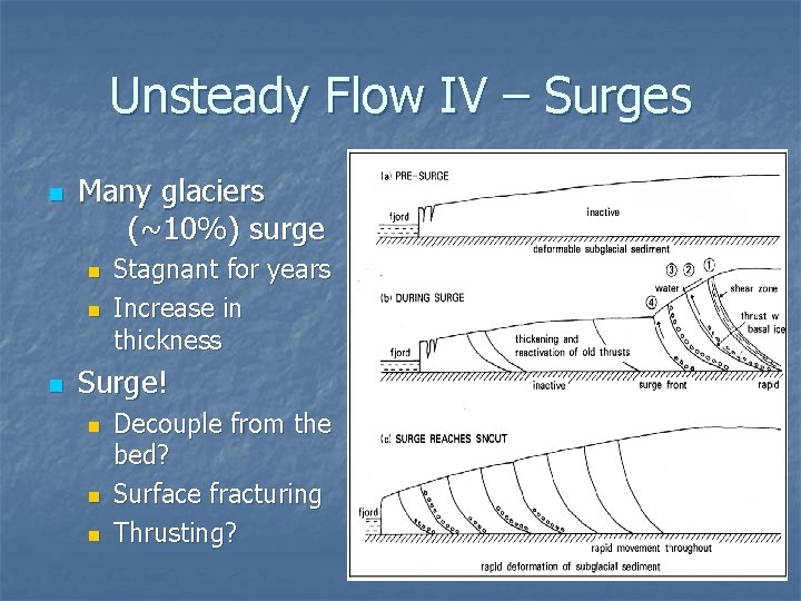 Unsteady Flow IV – Surges n Many glaciers (~10%) surge n n n Stagnant