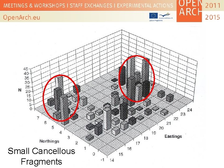 Small Cancellous Fragments 