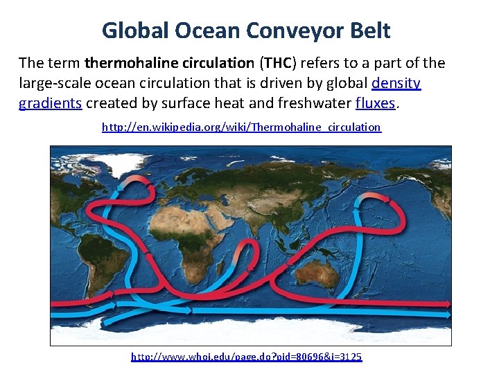 Global Ocean Conveyor Belt The term thermohaline circulation (THC) refers to a part of