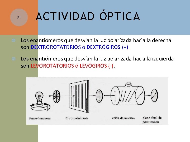 21 ACTIVIDAD ÓPTICA Los enantiómeros que desvían la luz polarizada hacia la derecha son