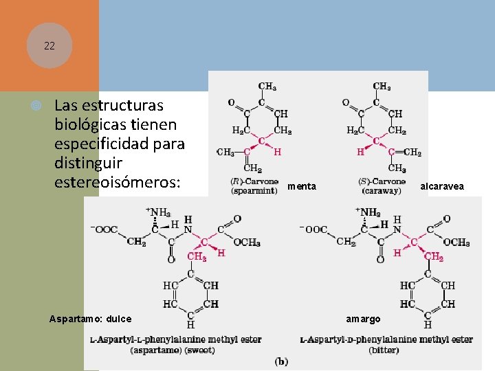 22 Las estructuras biológicas tienen especificidad para distinguir estereoisómeros: Aspartamo: dulce menta alcaravea amargo