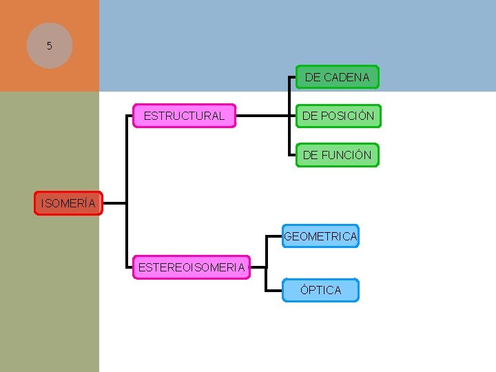 5 DE CADENA ESTRUCTURAL DE POSICIÓN DE FUNCIÓN ISOMERÍA GEOMETRICA ESTEREOISOMERIA ÓPTICA 