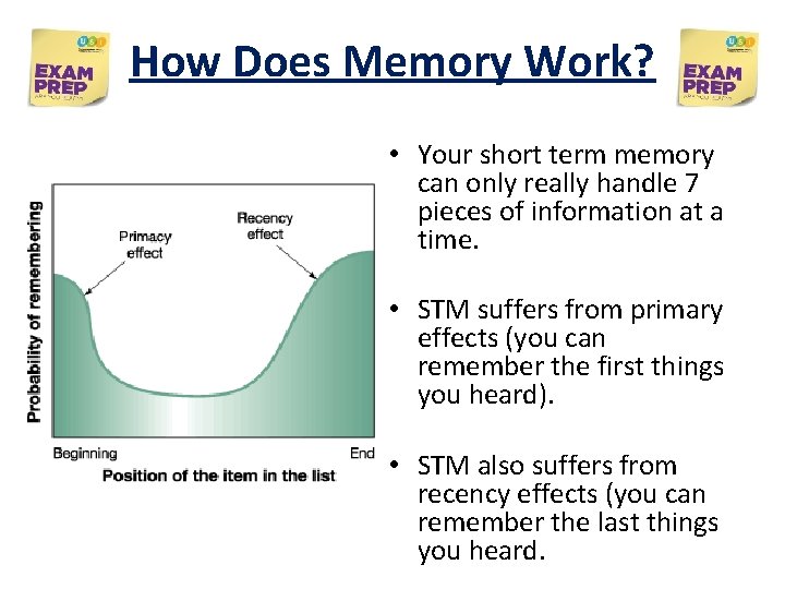 How Does Memory Work? • Your short term memory can only really handle 7 How Does Memory Work? • Your short term memory can only really handle 7