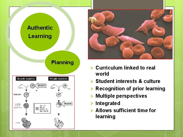 Authentic Learning Planning Ø Ø Ø Curriculum linked to real world Student interests &