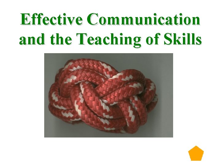 Effective Communication and the Teaching of Skills 