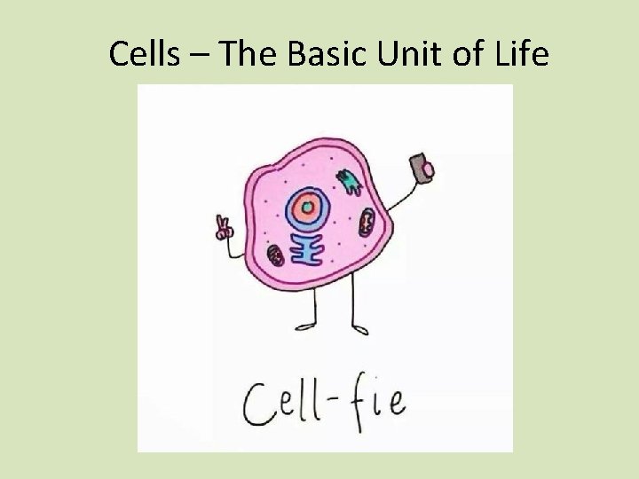 Cells – The Basic Unit of Life 