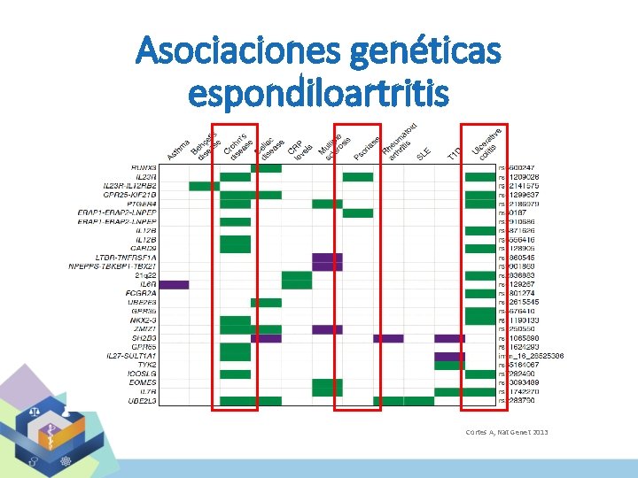 Asociaciones genéticas espondiloartritis Cortes A, Nat Genet 2013 