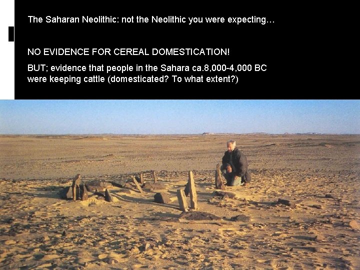 The Saharan Neolithic: not the Neolithic you were expecting… NO EVIDENCE FOR CEREAL DOMESTICATION!