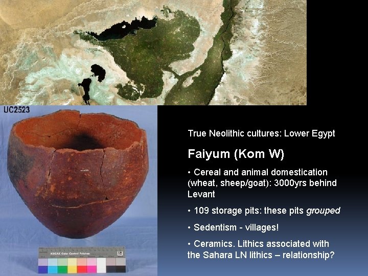 True Neolithic cultures: Lower Egypt Faiyum (Kom W) • Cereal and animal domestication (wheat,
