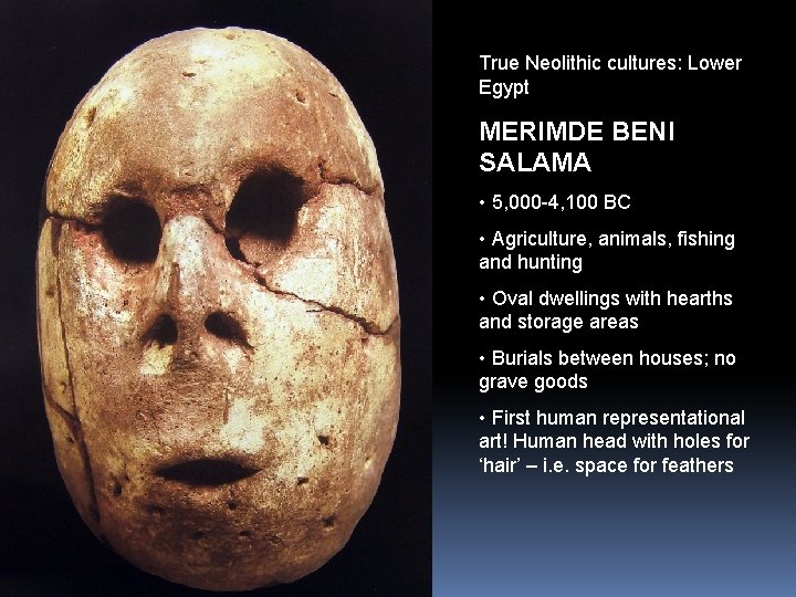 True Neolithic cultures: Lower Egypt MERIMDE BENI SALAMA • 5, 000 -4, 100 BC