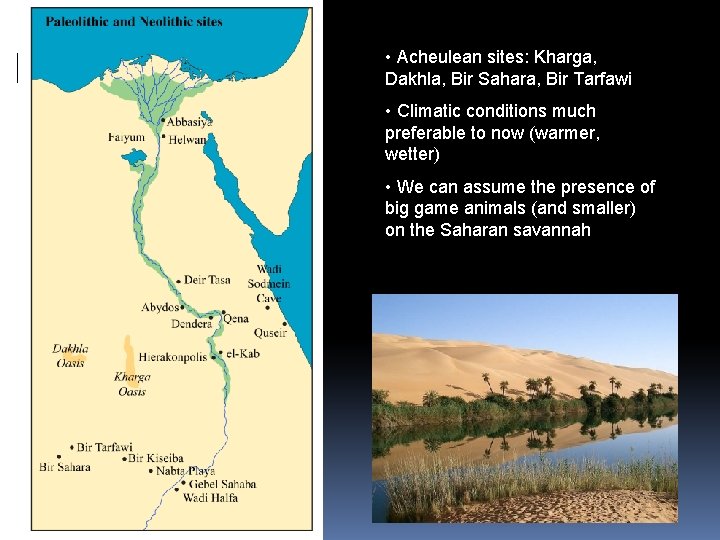  • Acheulean sites: Kharga, Dakhla, Bir Sahara, Bir Tarfawi • Climatic conditions much