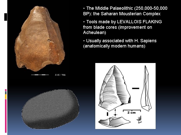  • The Middle Palaeolithic (250, 000 -50, 000 BP): the Saharan Mousterian Complex