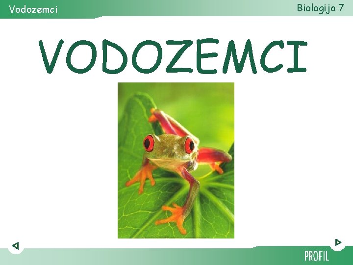 Vodozemci Biologija 7 VODOZEMCI 