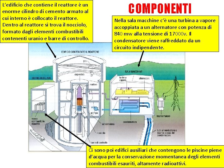 L’edificio che contiene il reattore è un enorme cilindro di cemento armato al cui