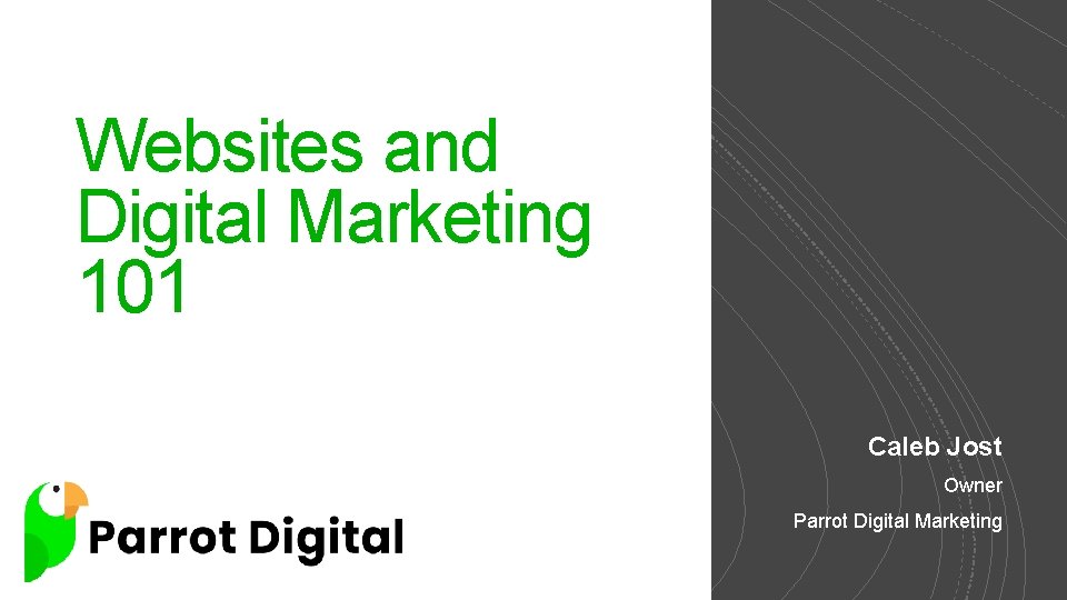 Websites and Digital Marketing 101 Caleb Jost Owner Parrot Digital Marketing 