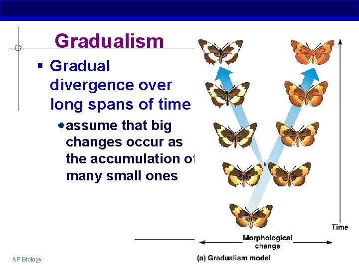Gradualism § Gradual divergence over long spans of time assume that big changes occur