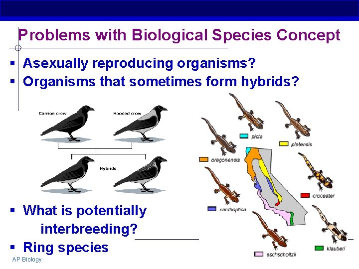 Problems with Biological Species Concept § Asexually reproducing organisms? § Organisms that sometimes form