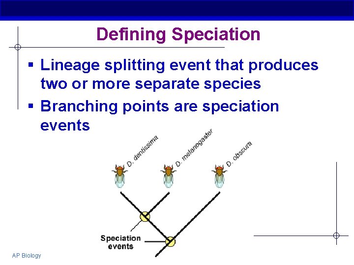 Defining Speciation § Lineage splitting event that produces two or more separate species §