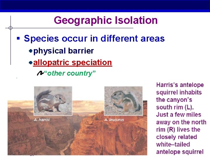 Geographic Isolation § Species occur in different areas physical barrier allopatric speciation “other country”