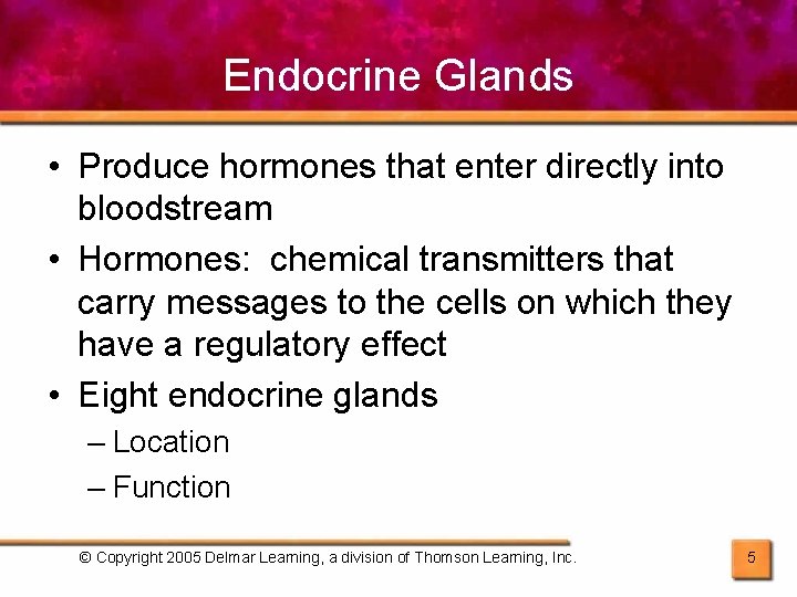 Endocrine Glands • Produce hormones that enter directly into bloodstream • Hormones: chemical transmitters