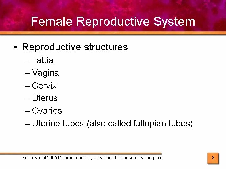 Female Reproductive System • Reproductive structures – Labia – Vagina – Cervix – Uterus