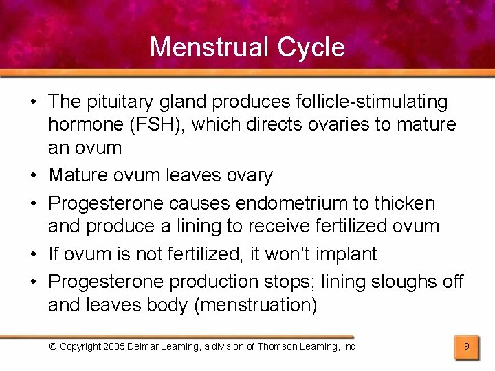 Menstrual Cycle • The pituitary gland produces follicle-stimulating hormone (FSH), which directs ovaries to