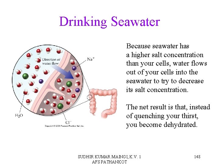 Drinking Seawater Because seawater has a higher salt concentration than your cells, water flows