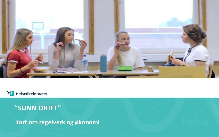 “SUNN DRIFT” Kort om regelverk og økonomi 