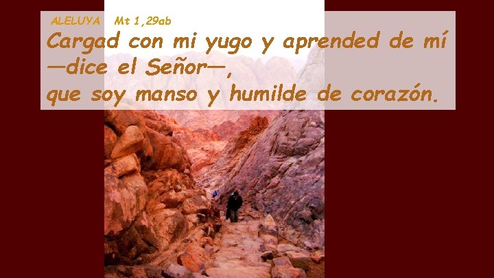 ALELUYA Mt 1, 29 ab Cargad con mi yugo y aprended de mí —dice