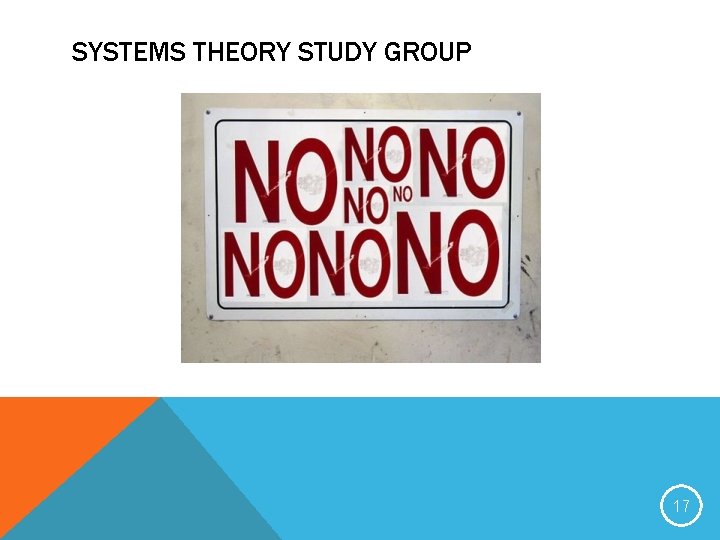 SYSTEMS THEORY STUDY GROUP 17 SYSTEMS THEORY STUDY GROUP 17