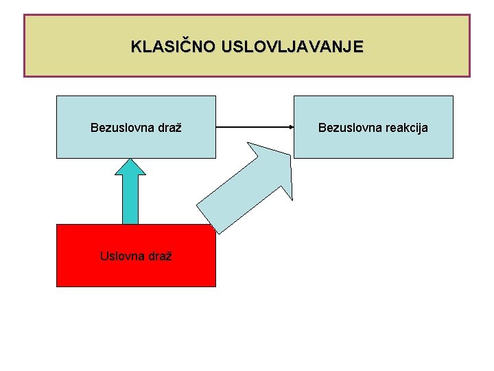 KLASIČNO USLOVLJAVANJE Bezuslovna draž Uslovna draž Bezuslovna reakcija KLASIČNO USLOVLJAVANJE Bezuslovna draž Uslovna draž Bezuslovna reakcija