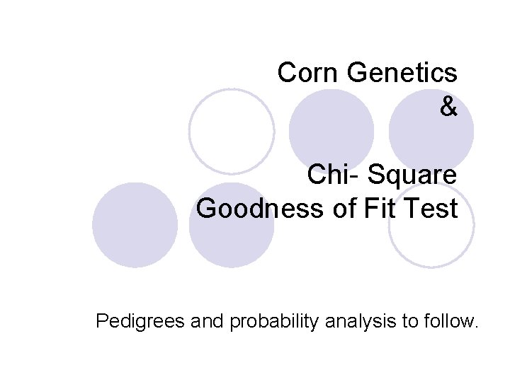 Corn Genetics & Chi- Square Goodness of Fit Test Pedigrees and probability analysis to