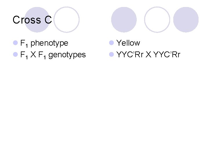 Cross C l F 1 phenotype l F 1 X F 1 genotypes l