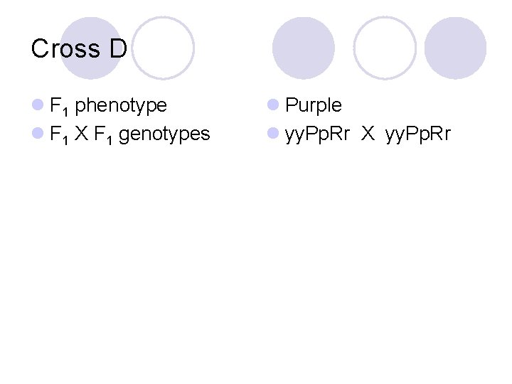 Cross D l F 1 phenotype l F 1 X F 1 genotypes l