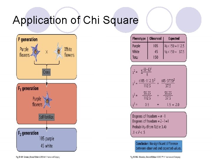 Application of Chi Square 