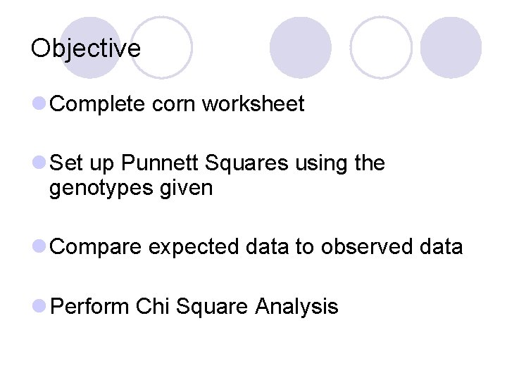 Objective l Complete corn worksheet l Set up Punnett Squares using the genotypes given