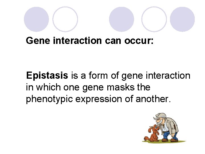 Gene interaction can occur: Epistasis is a form of gene interaction in which one