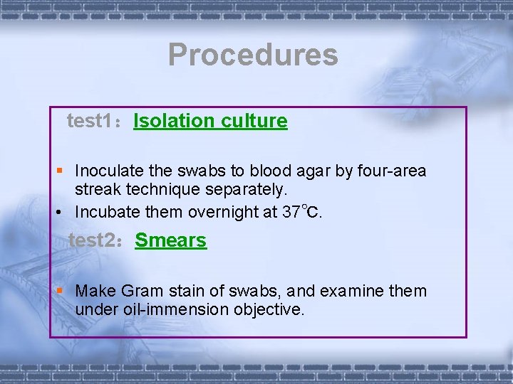 Procedures test 1：Isolation culture § Inoculate the swabs to blood agar by four-area streak