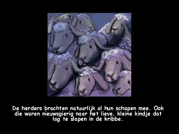 De herders brachten natuurlijk al hun schapen mee. Ook die waren nieuwsgierig naar het