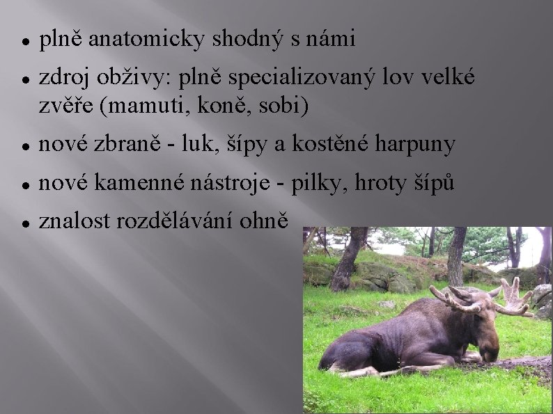  plně anatomicky shodný s námi zdroj obživy: plně specializovaný lov velké zvěře (mamuti,