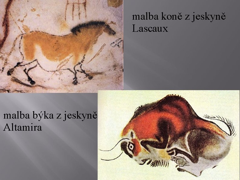 malba koně z jeskyně Lascaux malba býka z jeskyně Altamira 