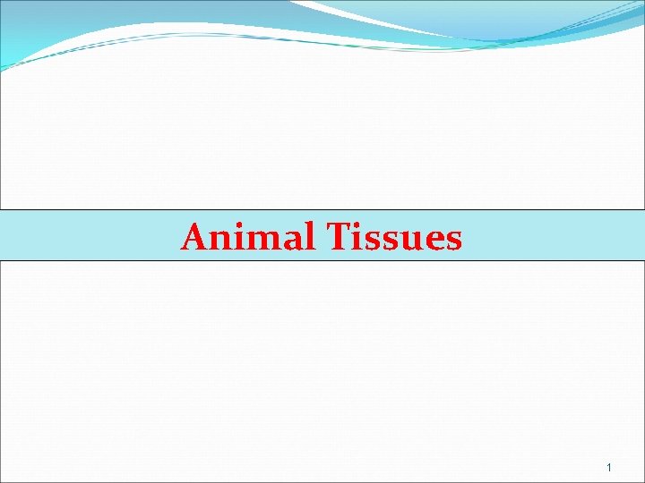 Animal Tissues 1 