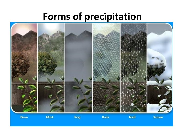 Forms of precipitation 