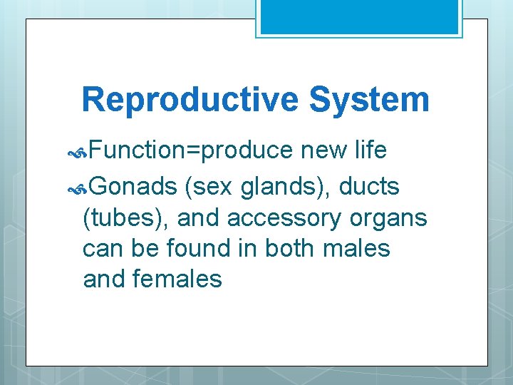 Reproductive System Function=produce new life Gonads (sex glands), ducts (tubes), and accessory organs can