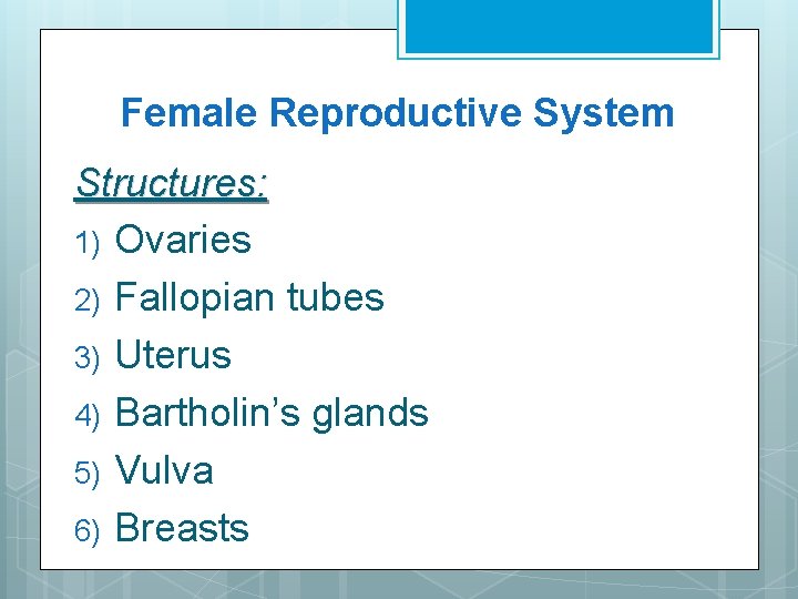 Female Reproductive System Structures: 1) Ovaries 2) Fallopian tubes 3) Uterus 4) Bartholin’s glands