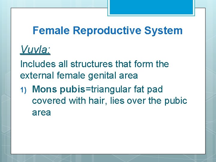 Female Reproductive System Vuvla: Includes all structures that form the external female genital area