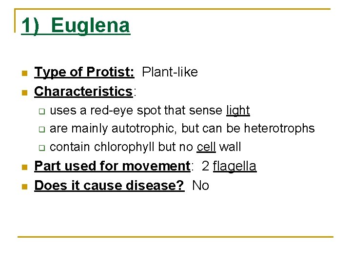 1) Euglena n n Type of Protist: Plant-like Characteristics: q q q n n