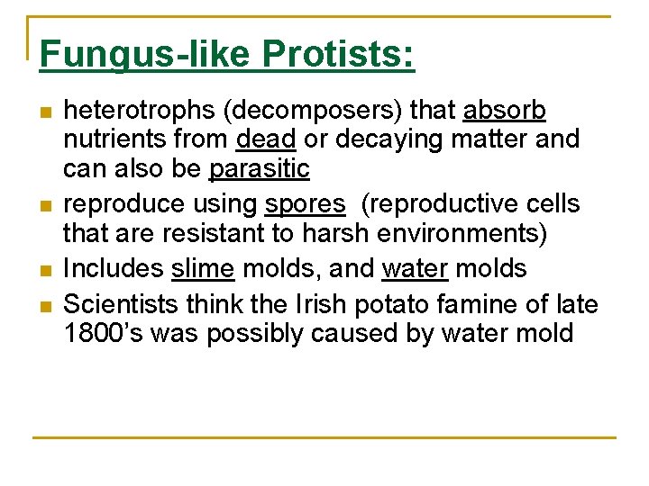 Fungus-like Protists: n n heterotrophs (decomposers) that absorb nutrients from dead or decaying matter