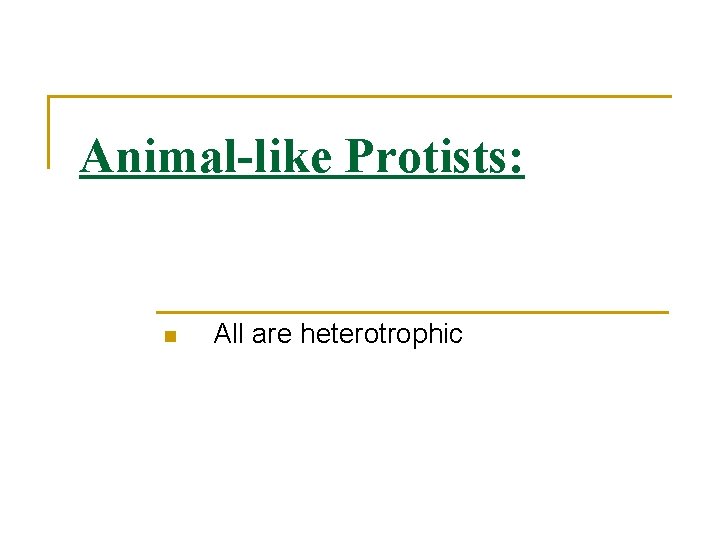 Animal-like Protists: n All are heterotrophic 